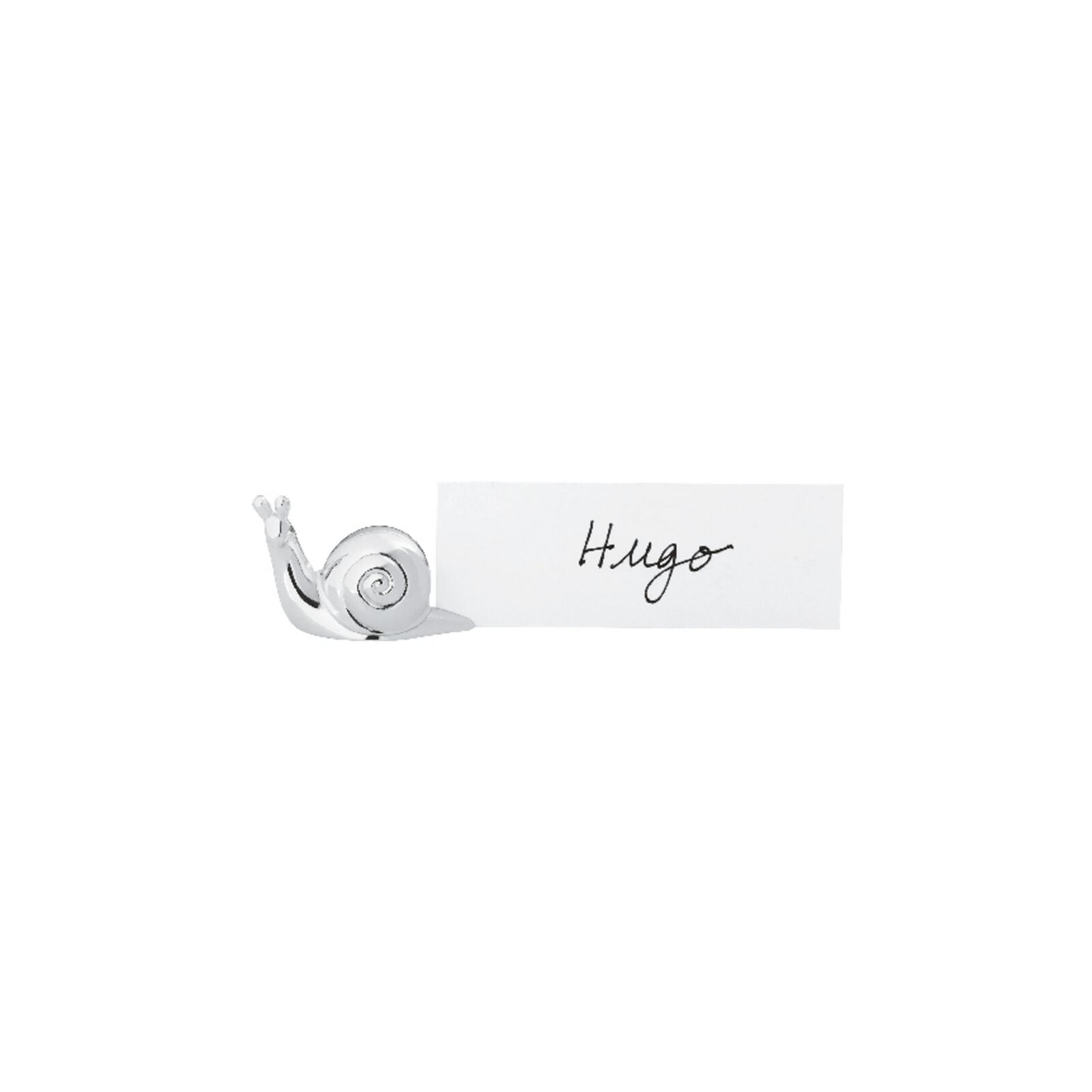 Name Holder snail image number null