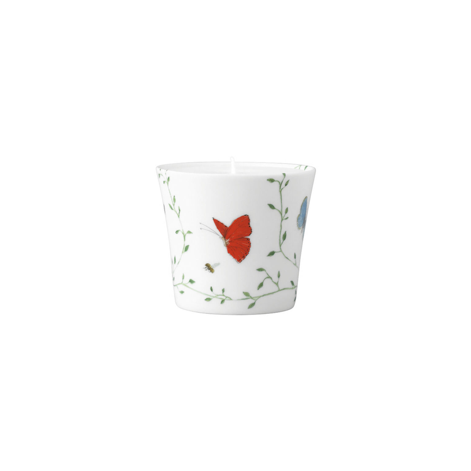ルビーさん購入済レイノー製RAYNAUD Histoire Naturelle Raynaud Histoire Naturelle Dinnerware | artedona.