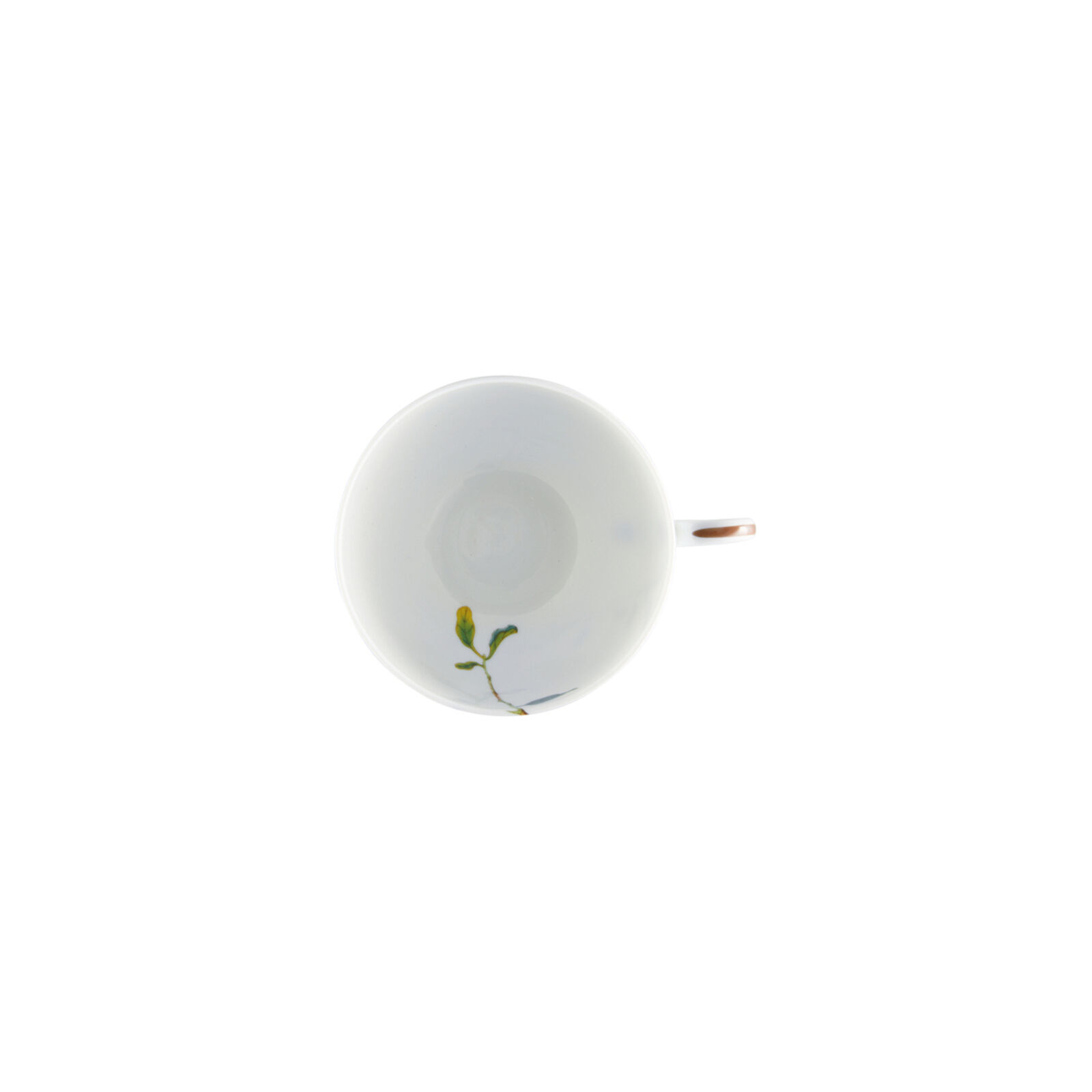 Tea cup, Ø 3 3/4 inch - h 2 1/2 inch - 8 1/2 oz image number null