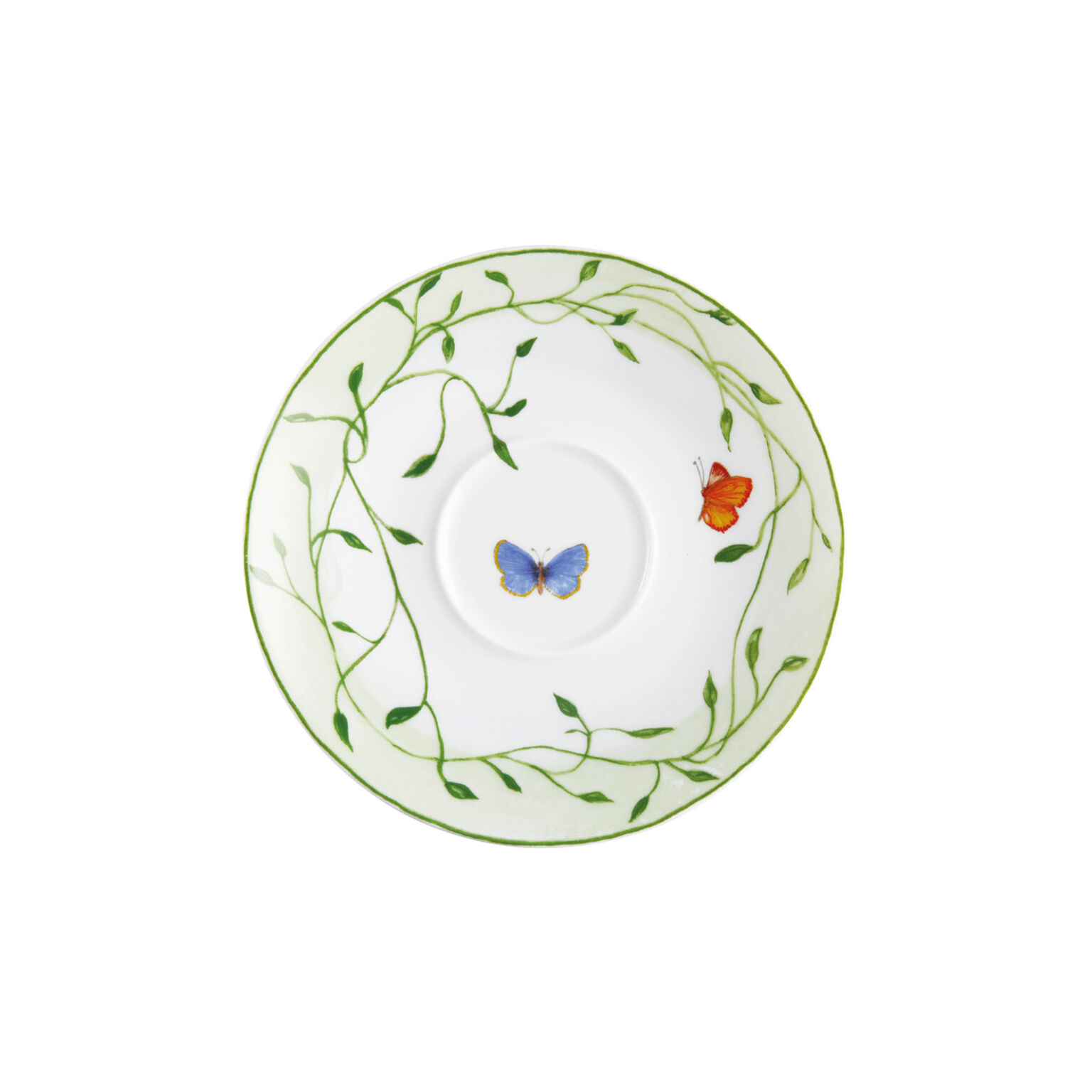 Histoire Naturelle Collection | Raynaud Ercuis US Shop
